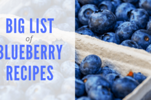 Blueberry recipes