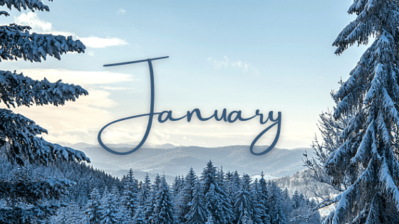 January winter scene