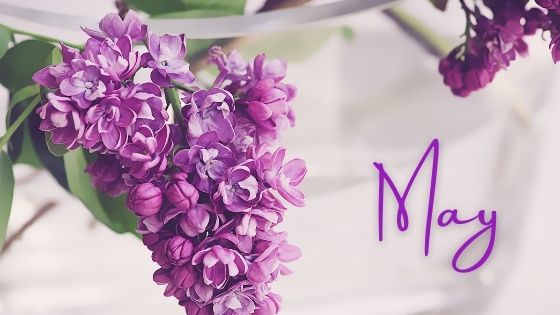 What to Do in May - Must Love Lists