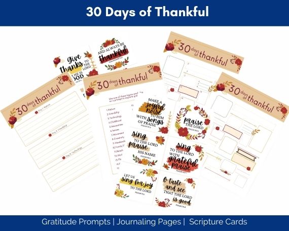 30 days of thankful journal