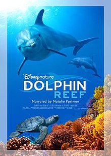 Dolphin Reef movie poster
