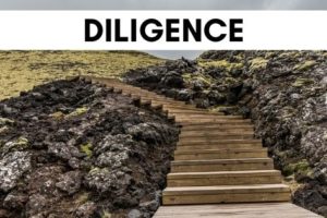 June word of the month: Diligence