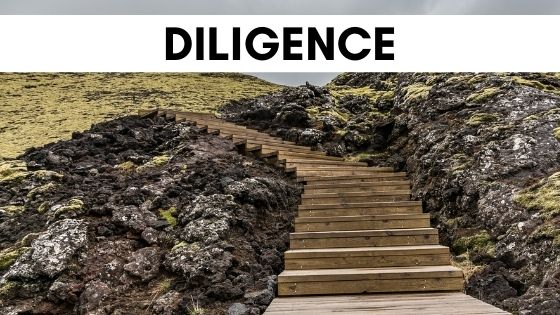 June word of the month: Diligence