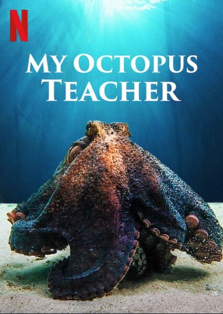 My Octopus Teacher movie poster
