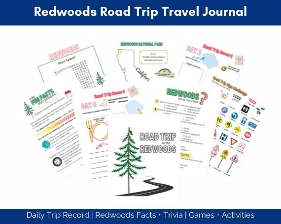 Redwood road trip journal