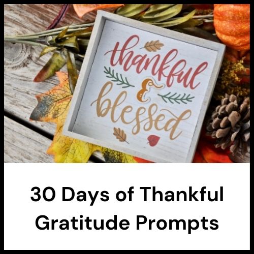 gratitude prompts