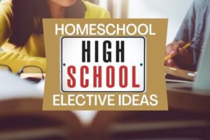 homeschool high school elective ideas