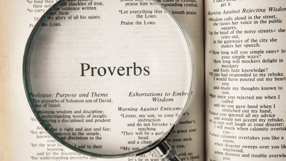proverbs for homeschool moms