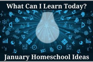 January homeschool ideas