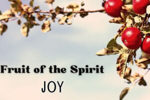 fruit of the spirit: joy