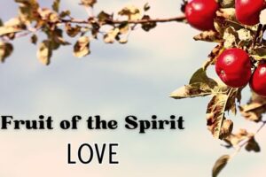 fruit of the spirit study for students: love