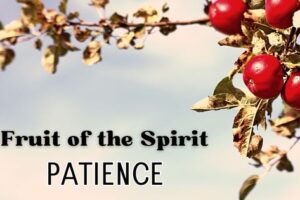 fruit of the spirit: patience