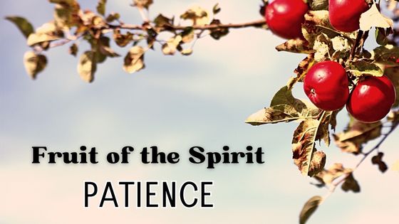 fruit of the spirit: patience