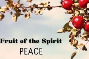 fruit of the spirit: peace