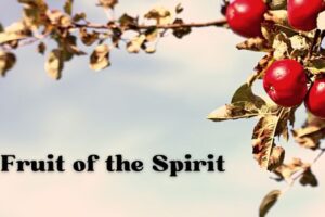 fruit of the spirit