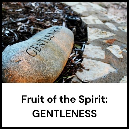fruit of the spirit gentleness