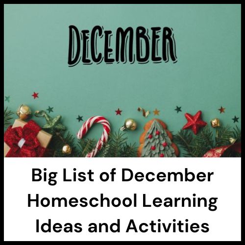 list of homeschool activities for December