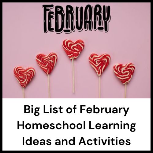 list of homeschool activities for February