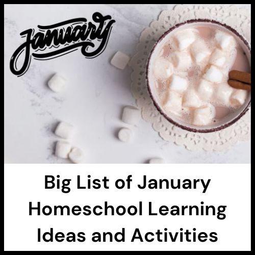 list of homeschool activities for January