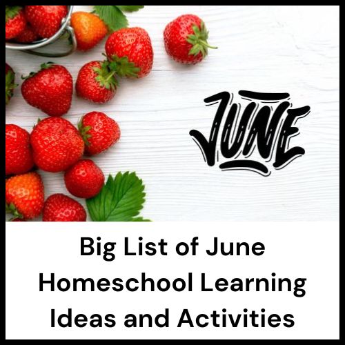 list of homeschool activities for June