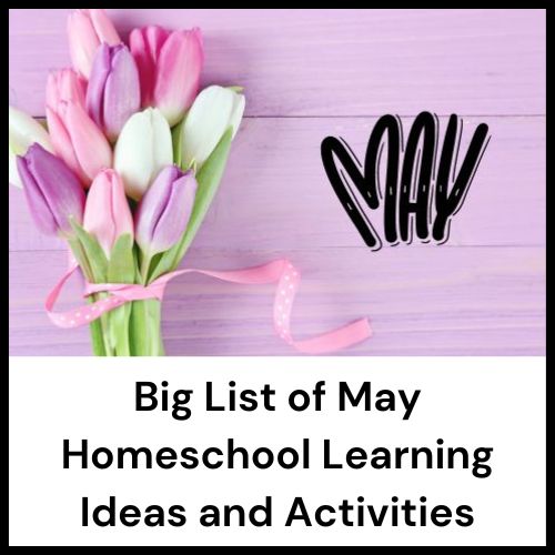 list of homeschool activities for May