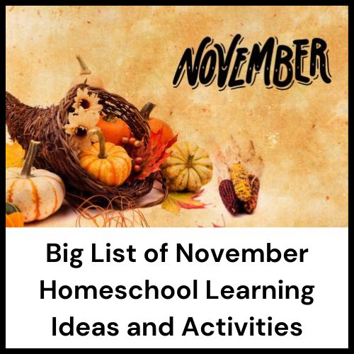 list of homeschool activities for November