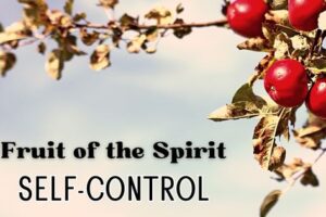 fruit of the spirit self control