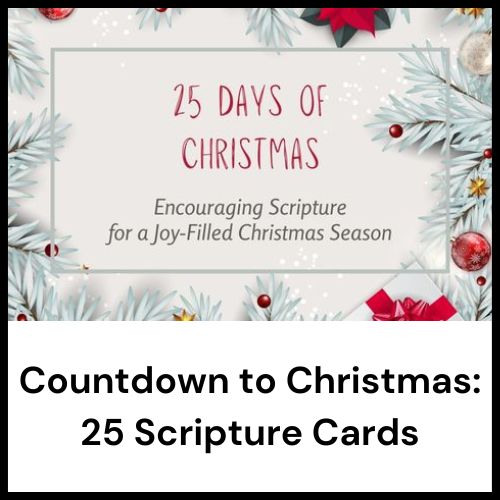 Christmas advent scripture cards