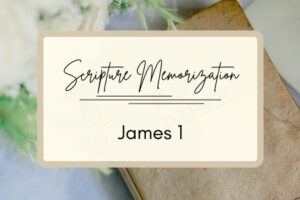 James 1 scripture memorization