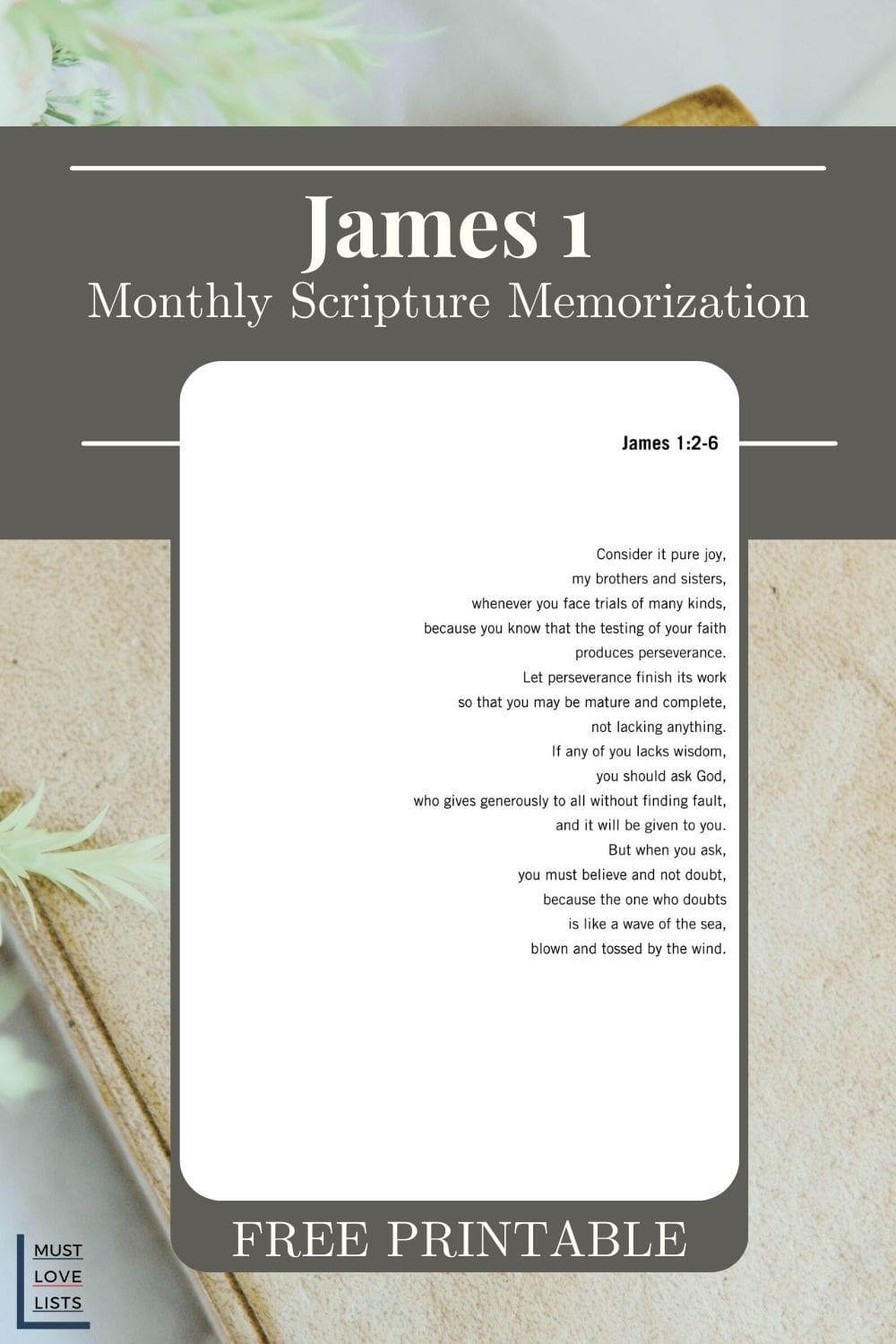 James 1 scripture memorization
